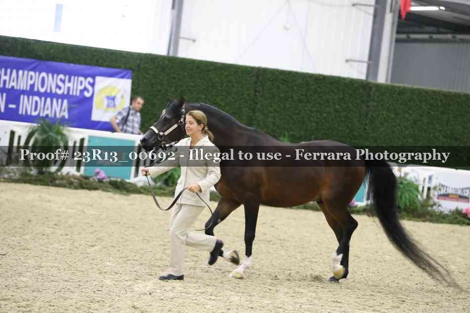 Proof Number 23R13_00692