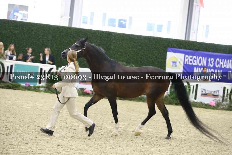 Proof Number 23R13_00693