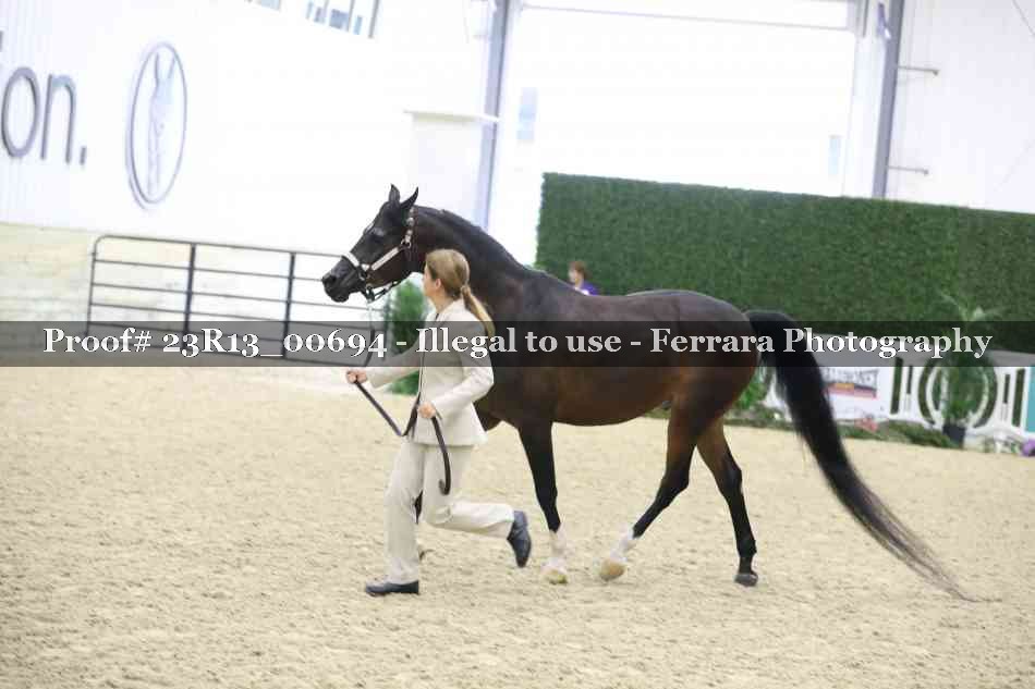 Proof Number 23R13_00694