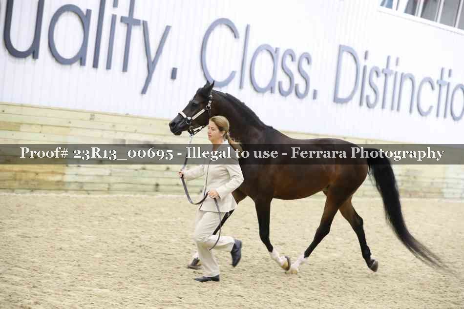 Proof Number 23R13_00695