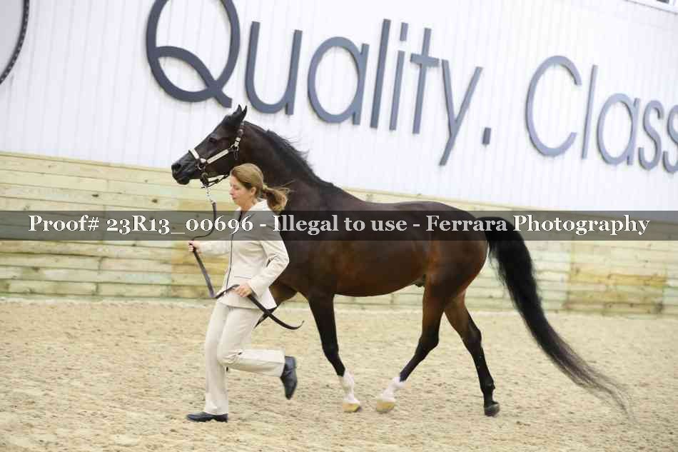 Proof Number 23R13_00696