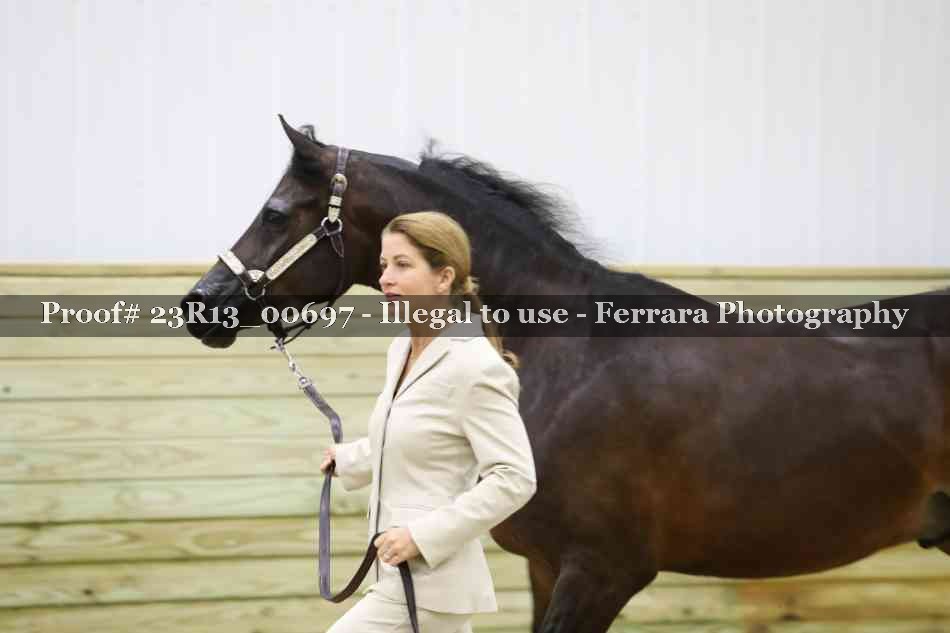 Proof Number 23R13_00697