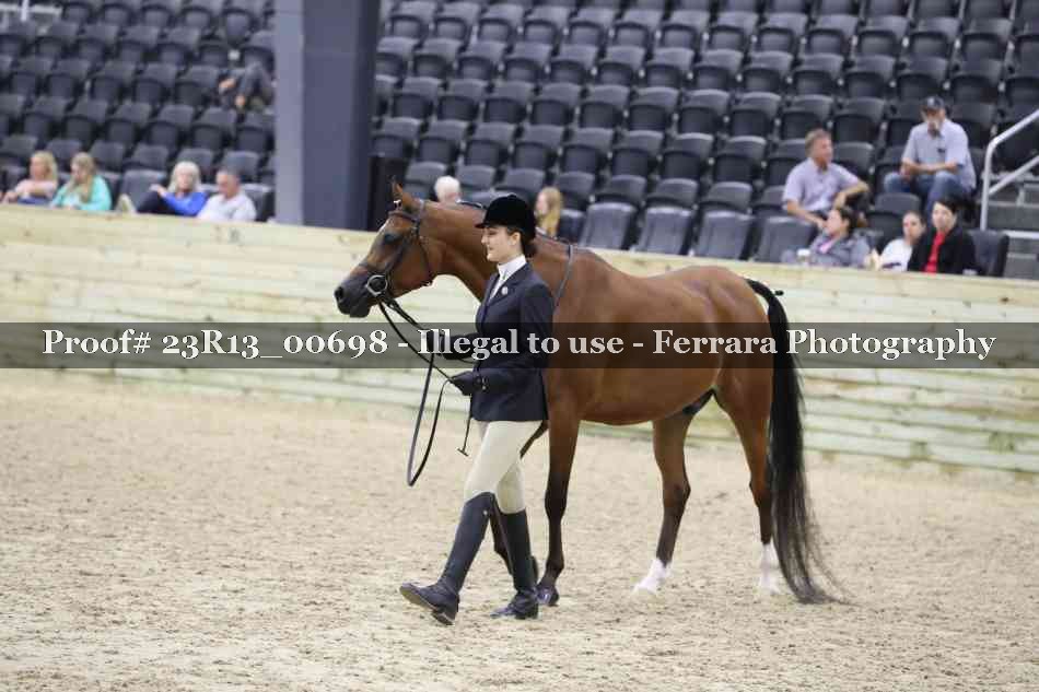 Proof Number 23R13_00698