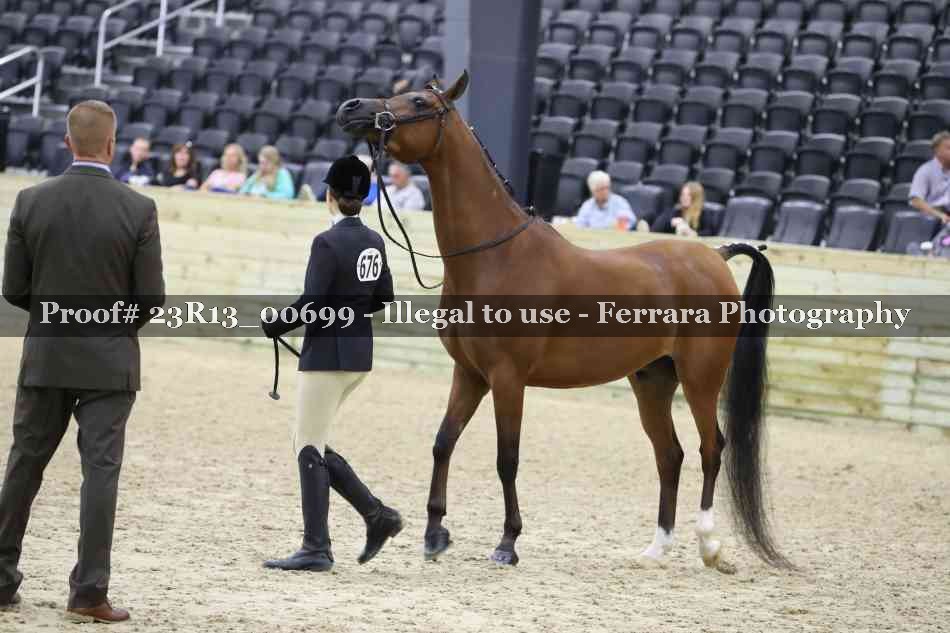 Proof Number 23R13_00699