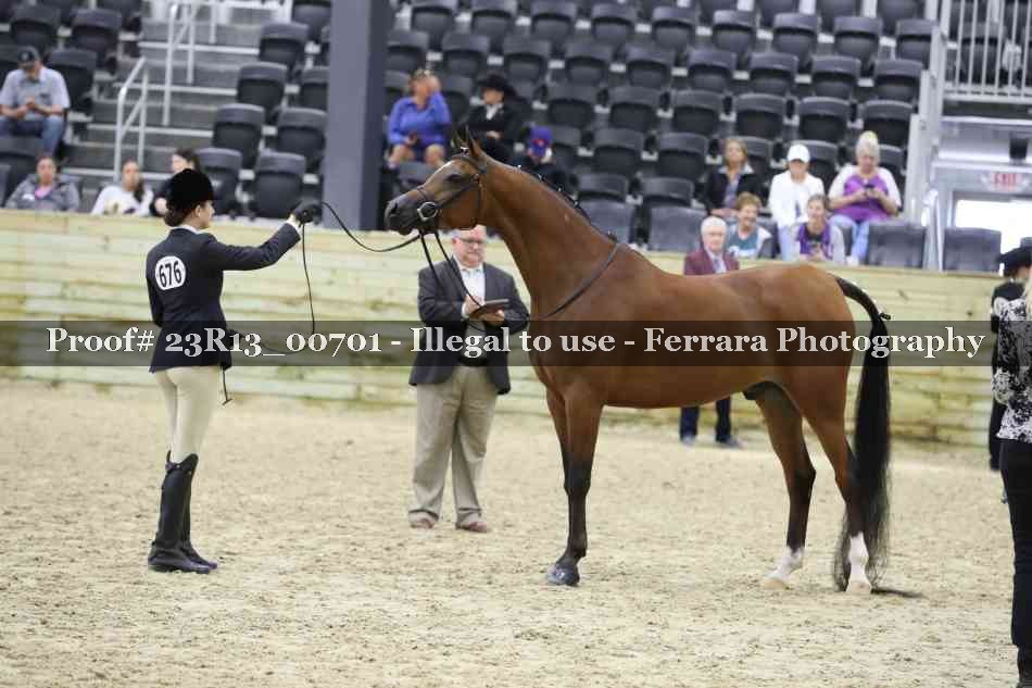 Proof Number 23R13_00701