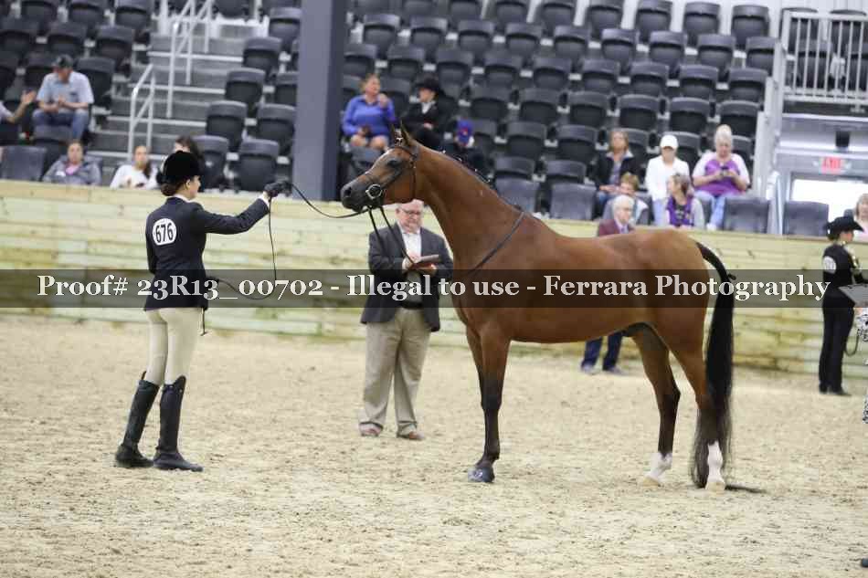 Proof Number 23R13_00702