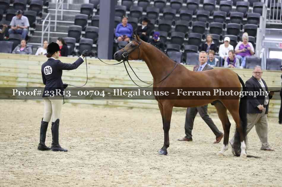 Proof Number 23R13_00704