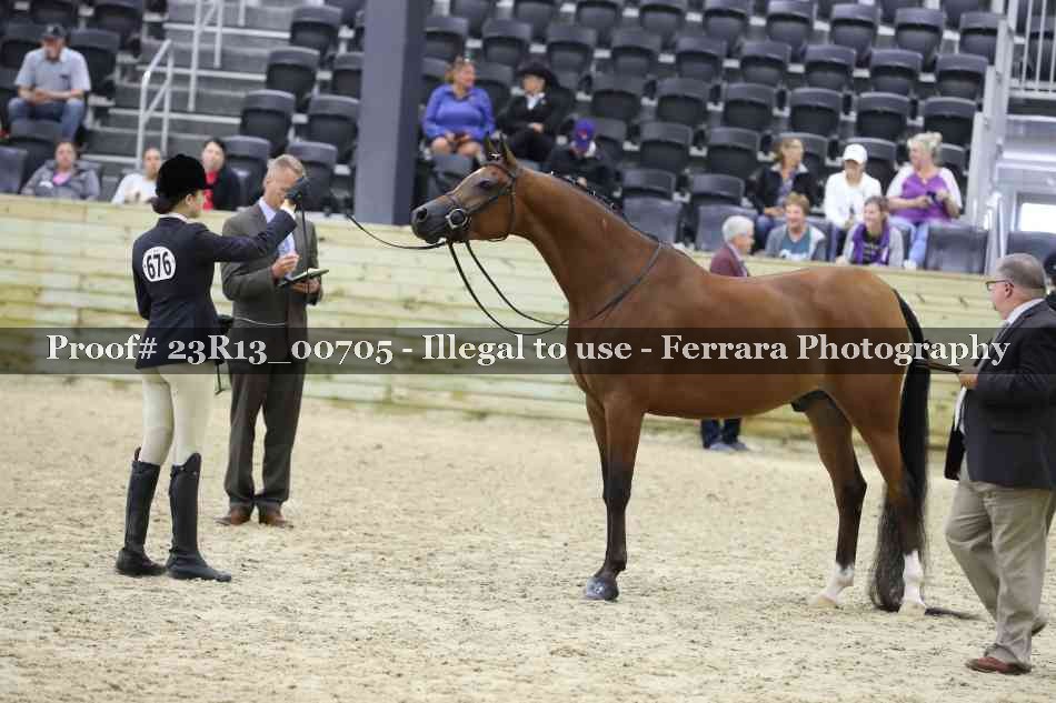 Proof Number 23R13_00705