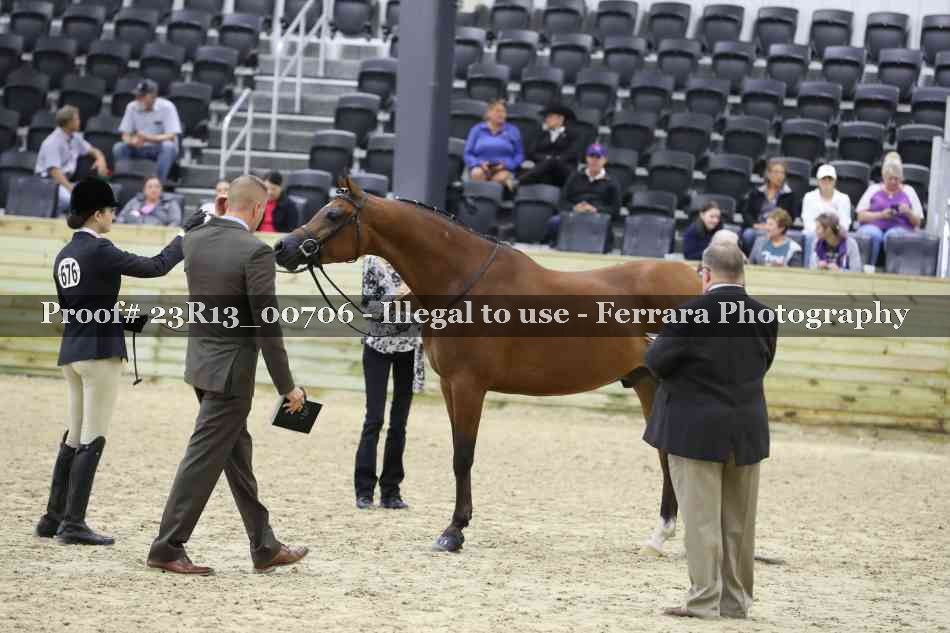 Proof Number 23R13_00706