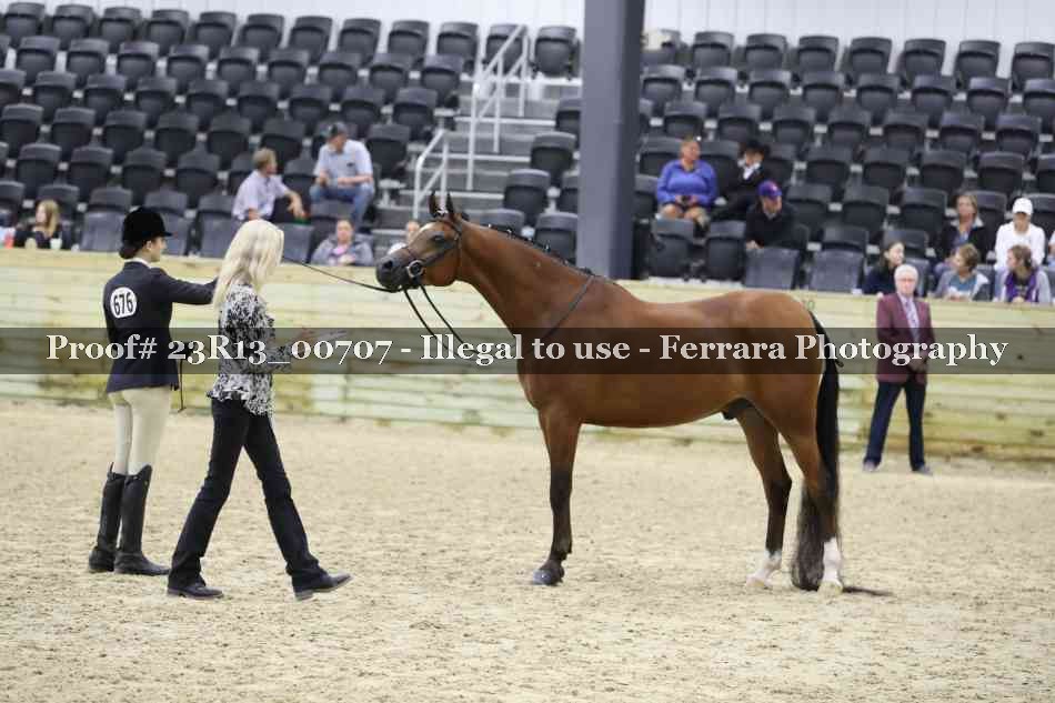 Proof Number 23R13_00707