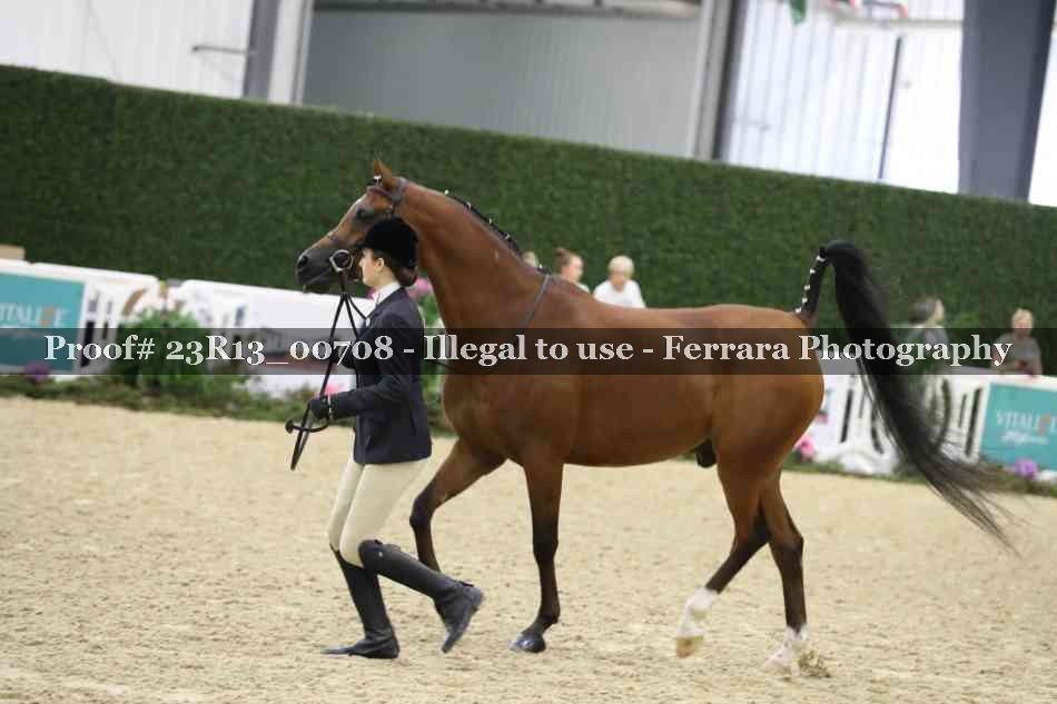 Proof Number 23R13_00708