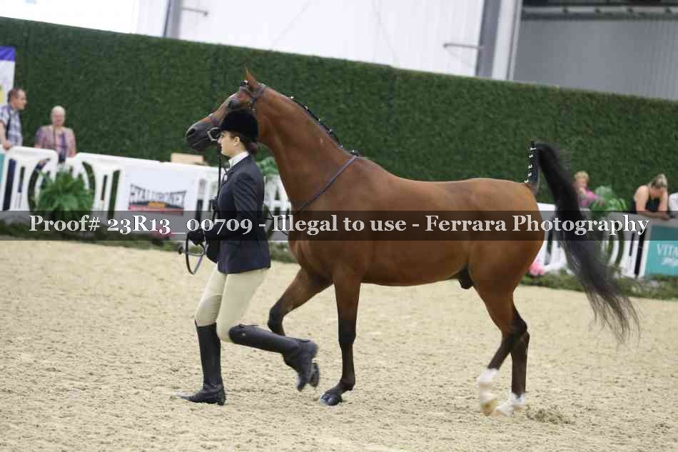 Proof Number 23R13_00709