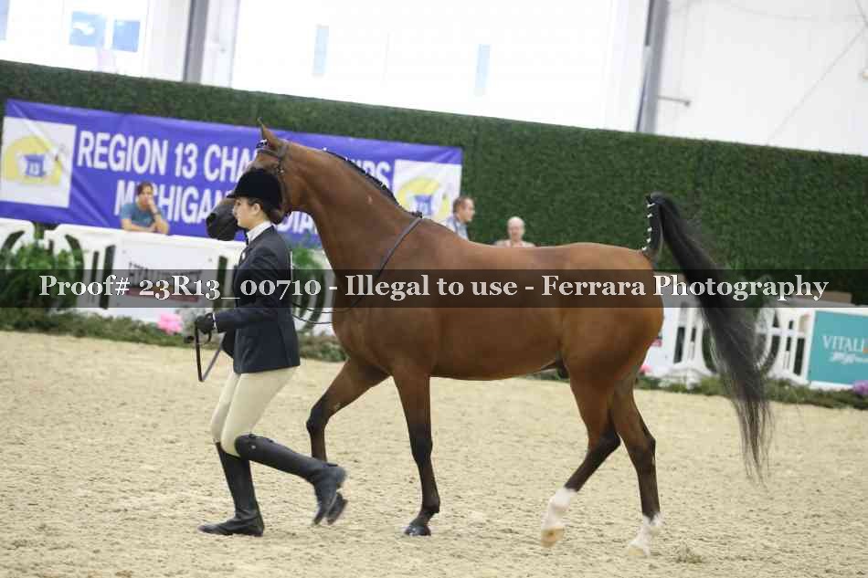 Proof Number 23R13_00710