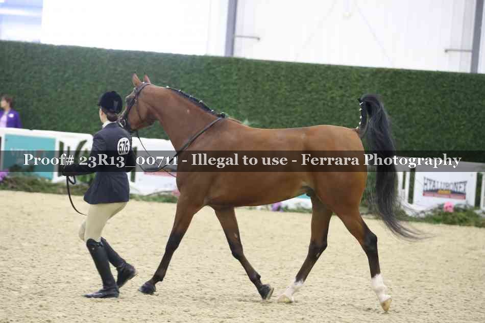 Proof Number 23R13_00711