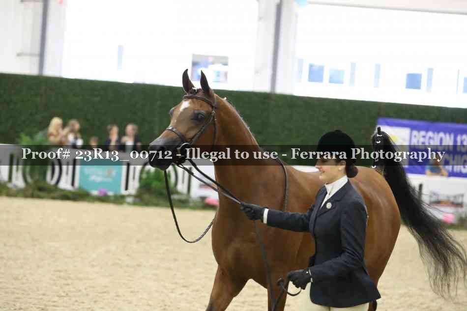 Proof Number 23R13_00712