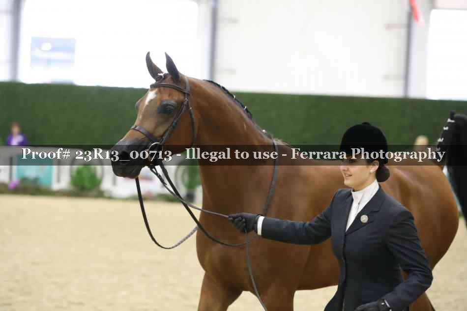 Proof Number 23R13_00713