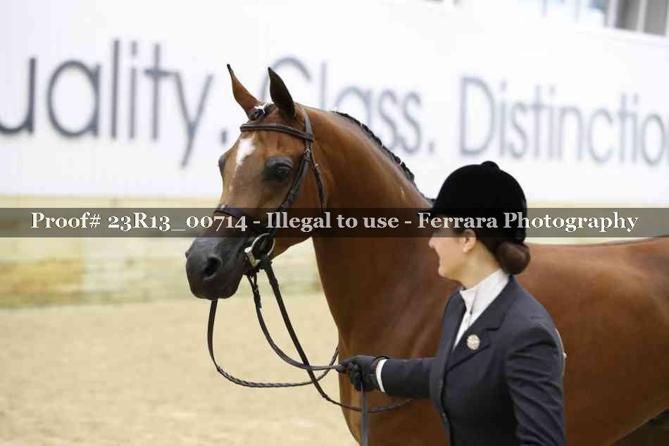 Proof Number 23R13_00714