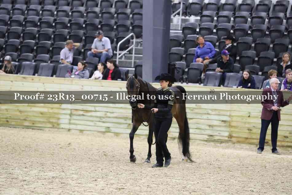Proof Number 23R13_00715
