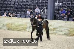 23R13_00716 thumbnail