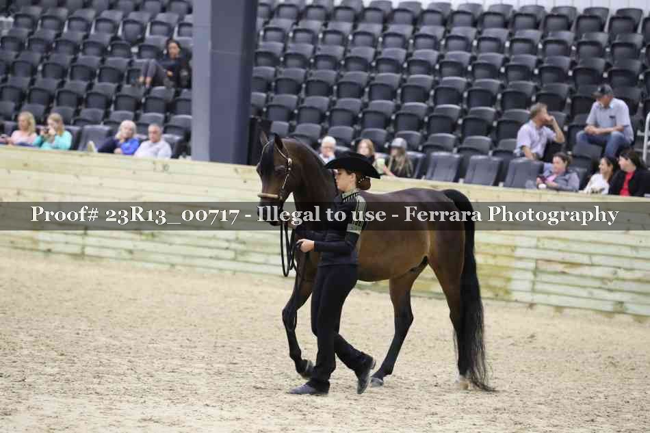 Proof Number 23R13_00717
