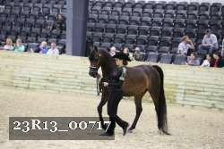 23R13_00717 thumbnail