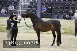 23R13_00718 thumbnail
