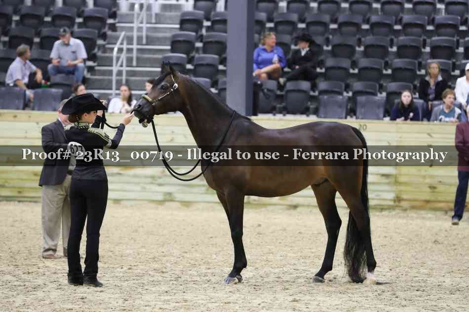 Proof Number 23R13_00719