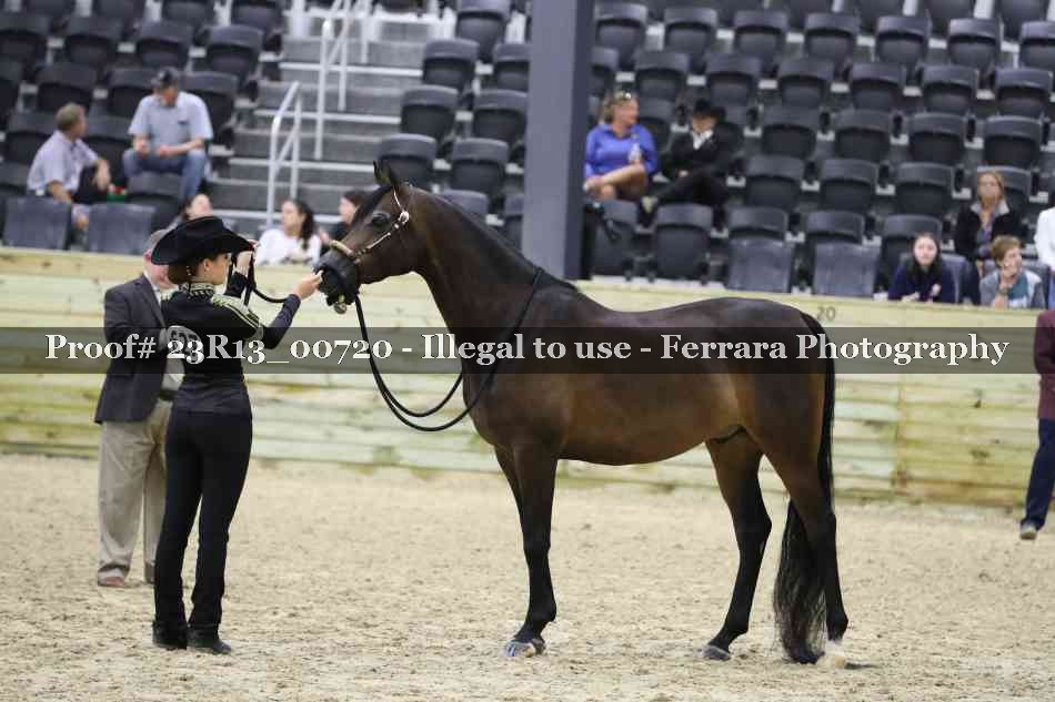 Proof Number 23R13_00720