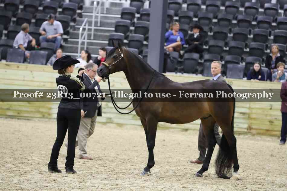 Proof Number 23R13_00721
