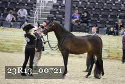 23R13_00721 thumbnail