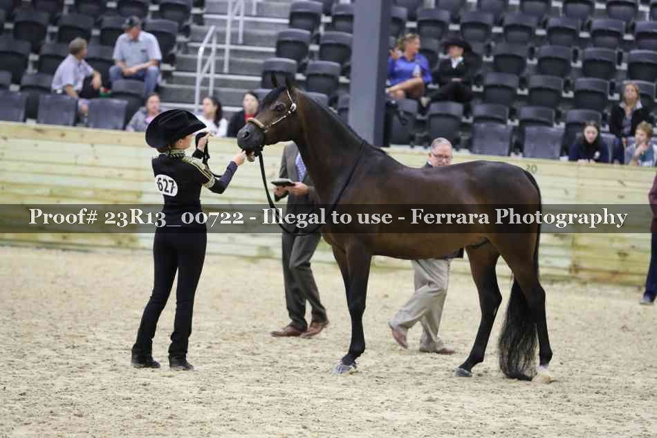 Proof Number 23R13_00722