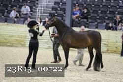 23R13_00722 thumbnail