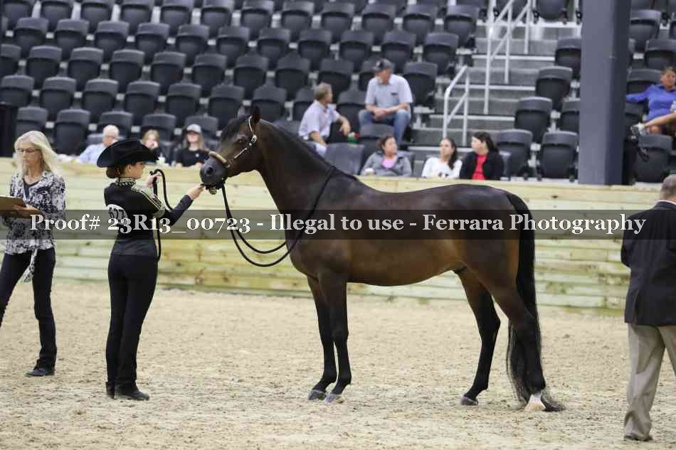 Proof Number 23R13_00723