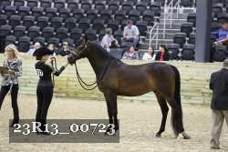 23R13_00723 thumbnail