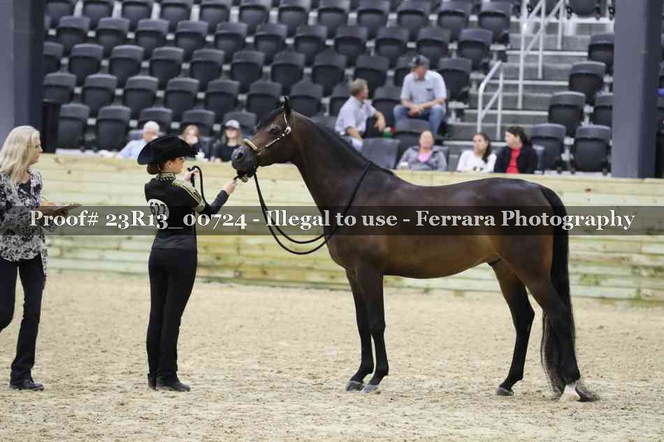 Proof Number 23R13_00724