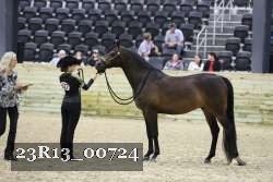 23R13_00724 thumbnail