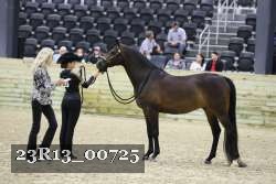 23R13_00725 thumbnail