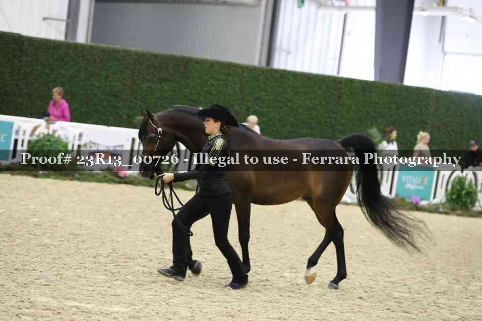 Proof Number 23R13_00726
