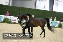 23R13_00726 thumbnail