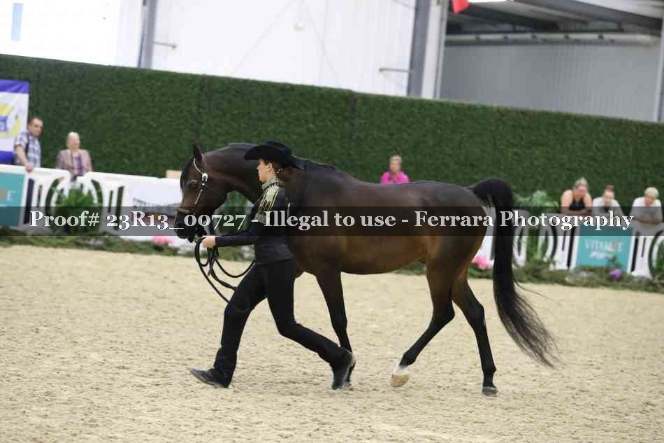 Proof Number 23R13_00727