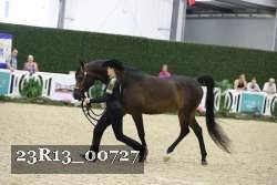 23R13_00727 thumbnail