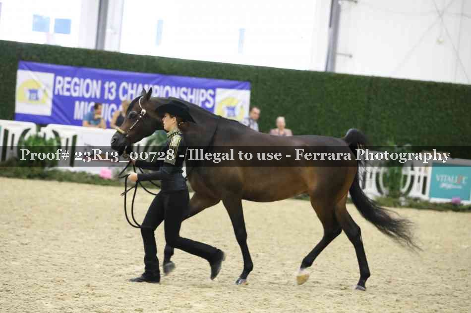 Proof Number 23R13_00728
