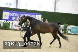 23R13_00728 thumbnail