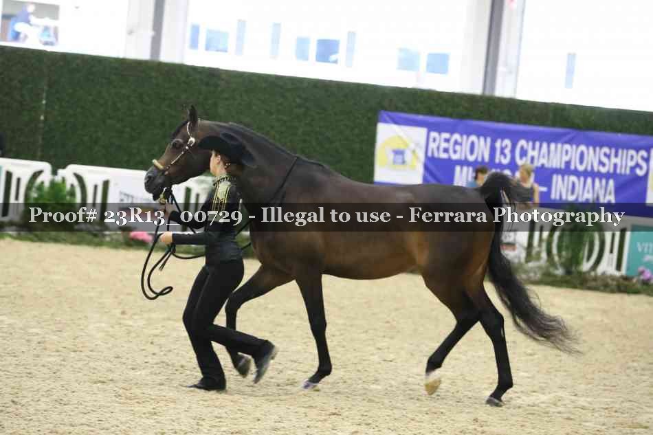 Proof Number 23R13_00729