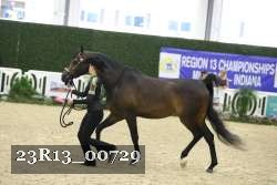 23R13_00729 thumbnail