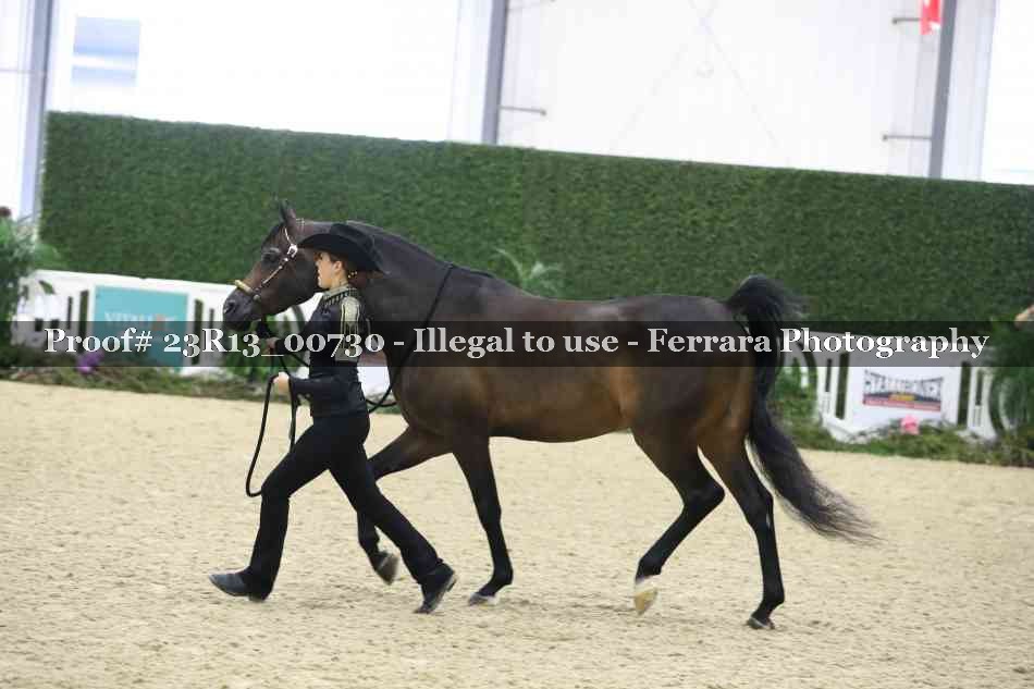 Proof Number 23R13_00730
