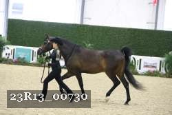 23R13_00730 thumbnail