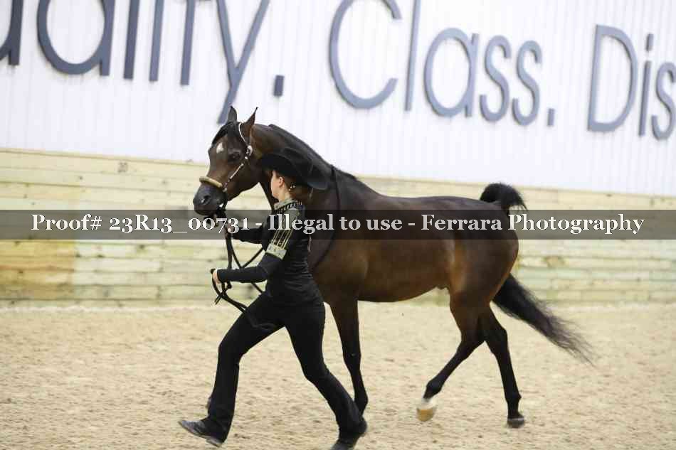 Proof Number 23R13_00731
