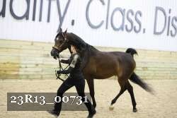 23R13_00731 thumbnail