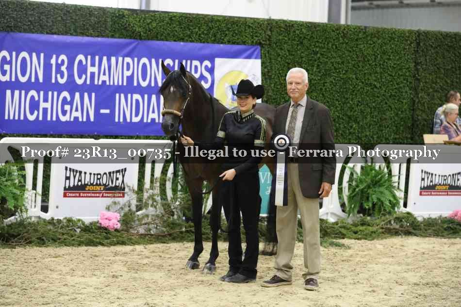 Proof Number 23R13_00735